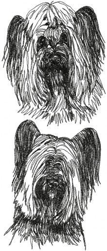 Skye Terrier Set