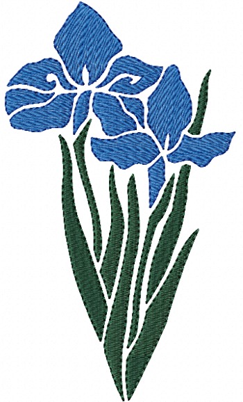 Stencil Iris