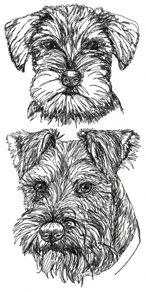 Schnauzer with Uncropped Ears Set