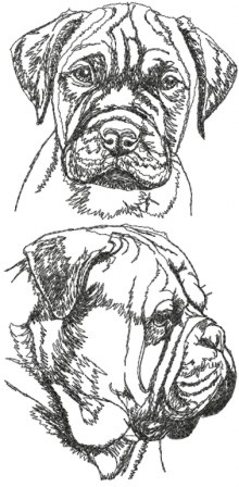 Bullmastiff Set