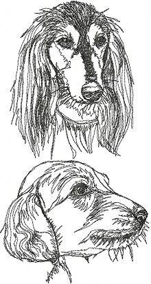 Saluki (Persian Greyhound) Set
