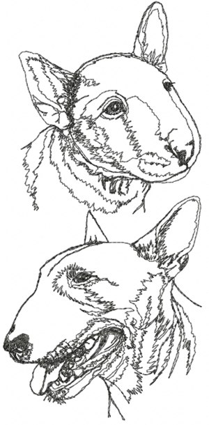 Bull Terrier Set