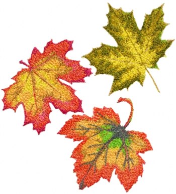 Autumn Maple Leaf Set
