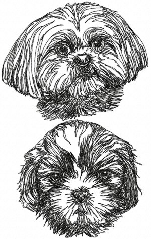 Shih Tzu Set