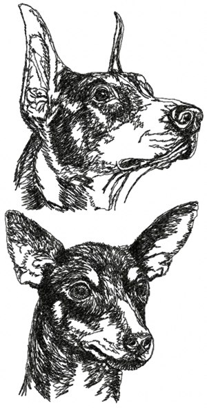 Manchester Terrier Set