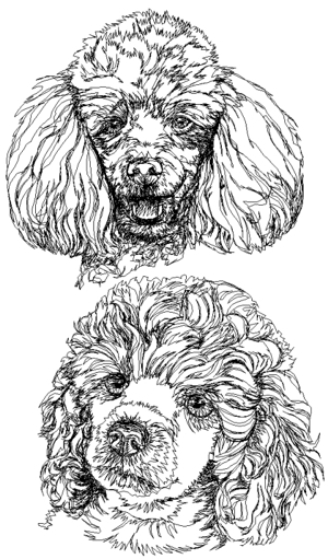 Poodle Set