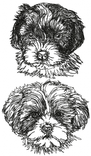 Shichon (Zuchon) Set