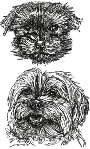 Yorkshire Terrier (Yorkie) Set