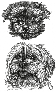 Yorkshire Terrier (Yorkie) Set