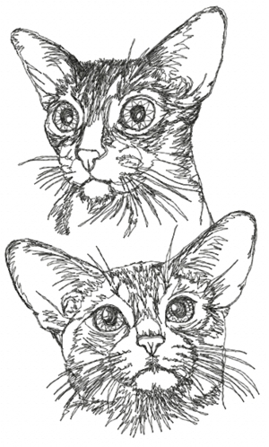 Abyssinian Cat Set