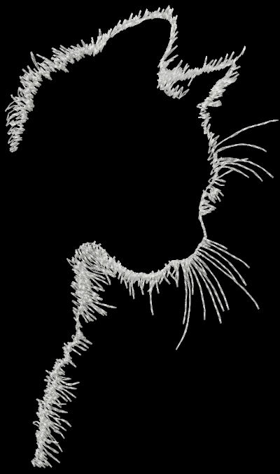 Cat Silhouette