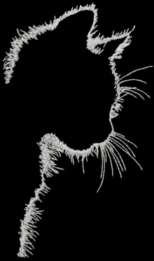 Cat Silhouette Machine Embroidery Design