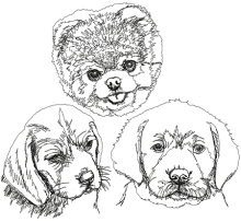 Advanced Embroidery Designs Animals Cute Dogs Embroidery Designs,Room Furniture Design Simple
