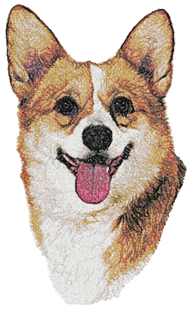 Pembroke Welsh Corgi (PWC, Pem)