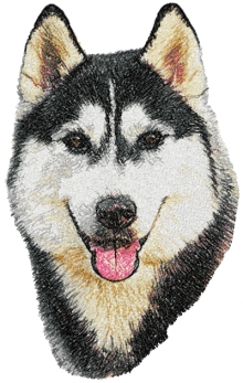 Husky