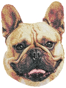 French Bulldog