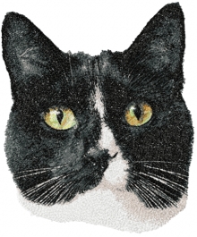 Tuxedo Cat Machine Embroidery Design