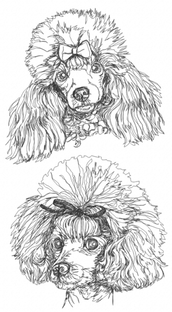 Toy Poodle Set