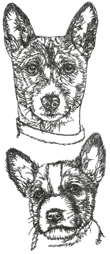 Basenji Set