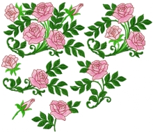 Camellia flowers set