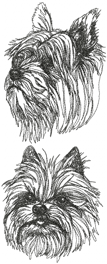 Yorkshire Terrier (Yorkie) Set