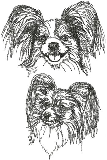 Papillon Set (Continental Toy Spaniel)