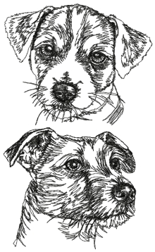 Jack Russell Terrier (Parson Russell Terrier) Set of 2 Machine Embroidery Designs