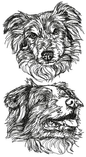 Australian Shepherd Set