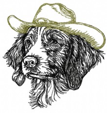 Brittany Spaniel in a Hat