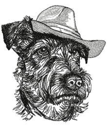 Airedale Terrier in a Hat