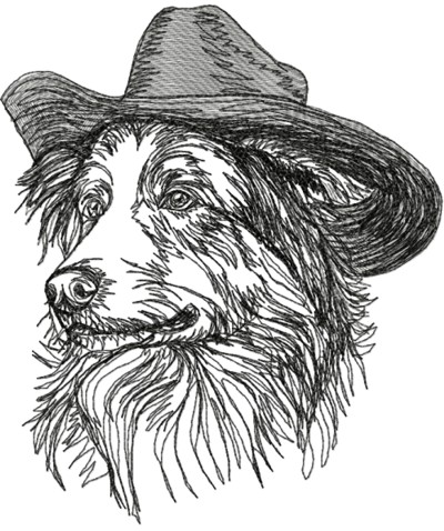 Australian Shepherd in a Hat