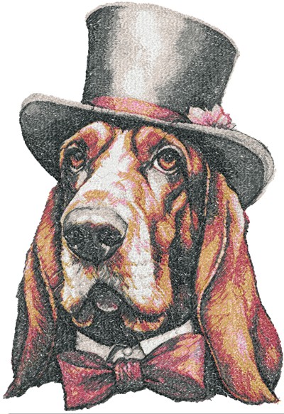 Basset Hound in a Hat