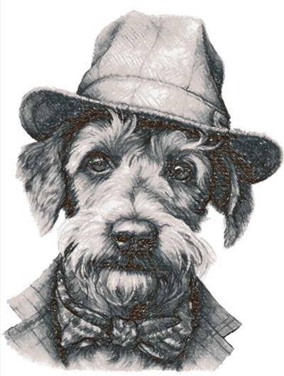 Airedale Terrier in a Hat
