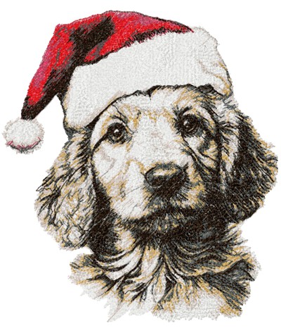 Golden Retriever in a Santa Hat