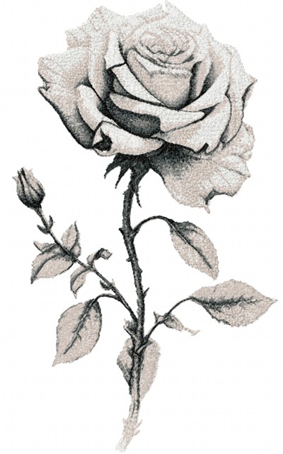 Winter Rose