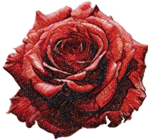 Red Rose Machine Embroidery Design