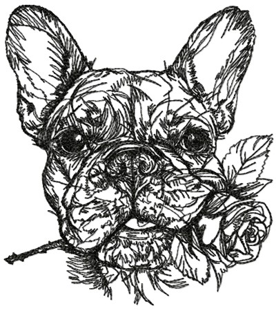 French Bulldog with Rose