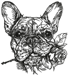 French Bulldog with Rose