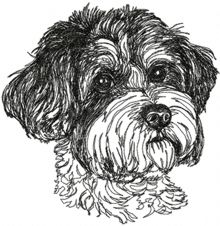 Bolonka Zwetna (Bolognese) Machine Embroidery Design