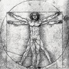 Leonardo. The Vitruvian Man.