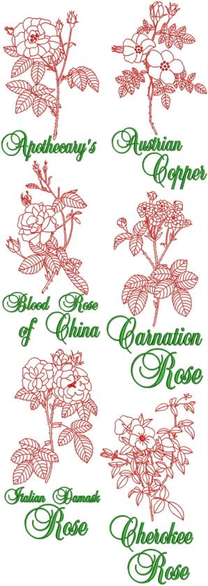 Garden Rose Redwork Set