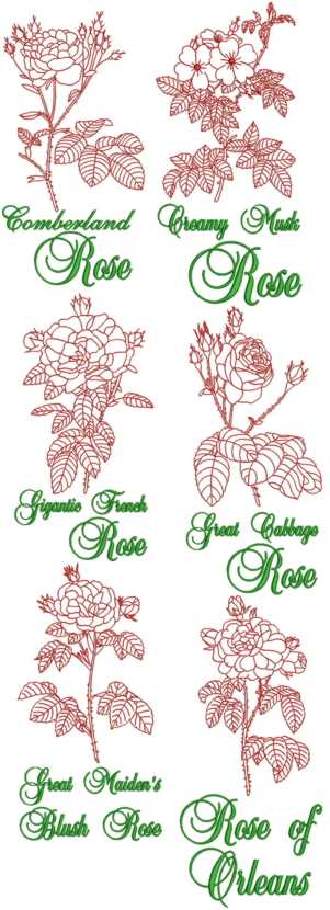 Garden Rose Redwork Set II