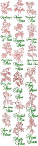 Garden Rose Redwork Sets I, II and III