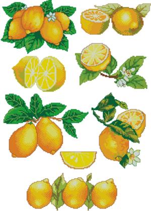 Lemon Set