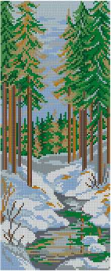 Winter. Pine Forest