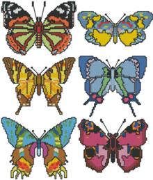 Butterfly Set III