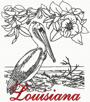 Louisiana: Brown Pelican