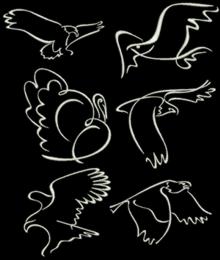 Bird Silhouette Set