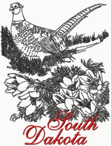 South Dakota: Ring-Necked Pheasant
