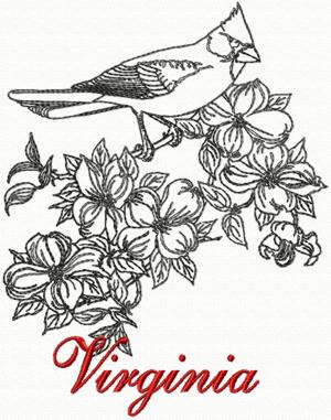 Virginia: Cardinal